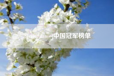 大同中国冠军榜单