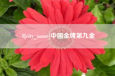 大同中国金牌第九金