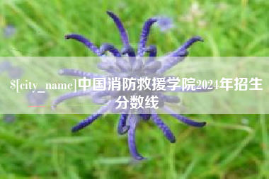 大同中国消防救援学院2024年招生分数线