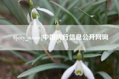 大同中国执行信息公开网询