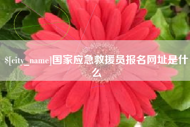 大同国家应急救援员报名网址是什么