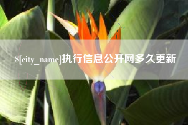 大同执行信息公开网多久更新