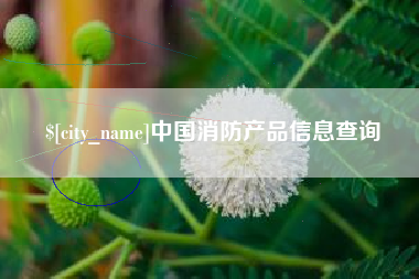 大同中国消防产品信息查询