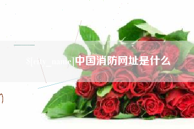 大同中国消防网址是什么