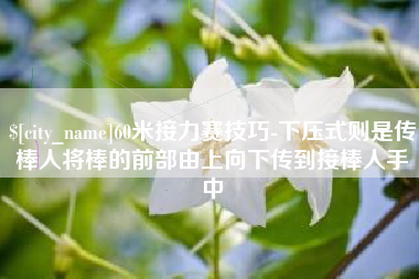 大同60米接力赛技巧-下压式则是传棒人将棒的前部由上向下传到接棒人手中