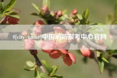 大同中国消防报考中心官网