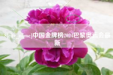 大同中国金牌榜2024巴黎奥运会最新