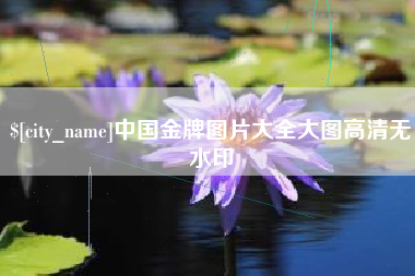大同中国金牌图片大全大图高清无水印