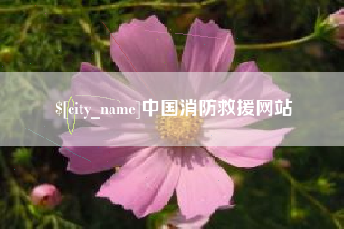 大同中国消防救援网站