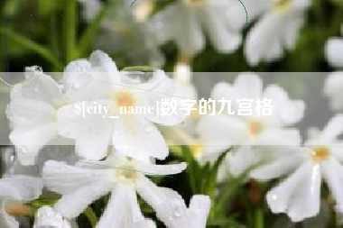 大同数字的九宫格