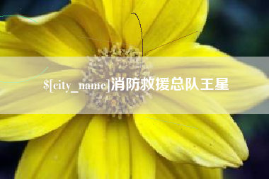 大同消防救援总队王星