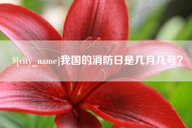 大同我国的消防日是几月几号？