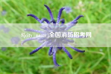 大同全国消防招考网