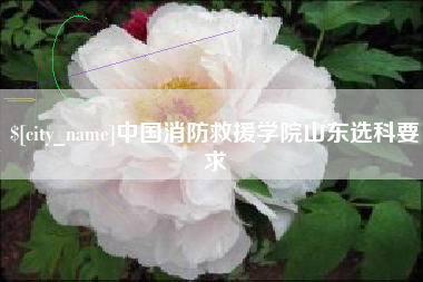 大同中国消防救援学院山东选科要求