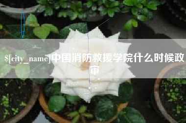 大同中国消防救援学院什么时候政审