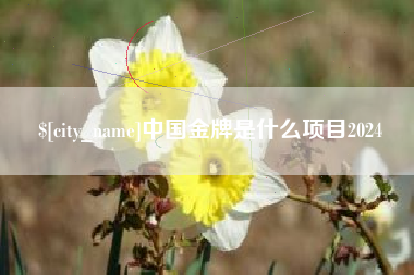 大同中国金牌是什么项目2024