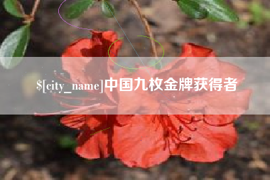 大同中国九枚金牌获得者