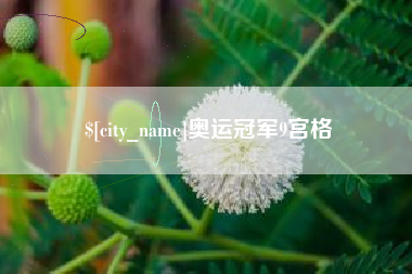 大同奥运冠军9宫格