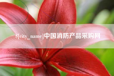 大同中国消防产品采购网