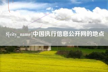 大同中国执行信息公开网的地点