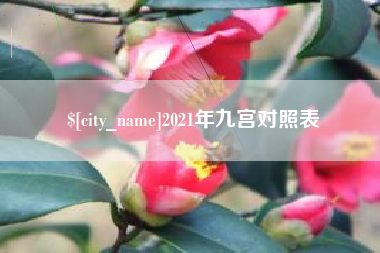 大同2021年九宫对照表
