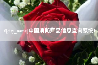 大同中国消防产品信息查询系统1