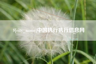 大同中国执行执行信息网