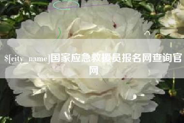 大同国家应急救援员报名网查询官网