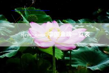 大同中国金牌一览表