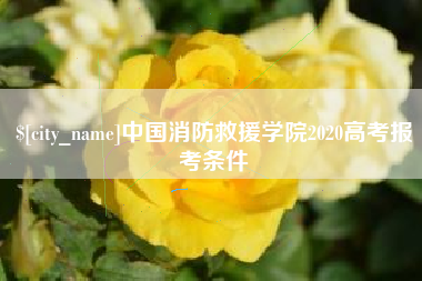 大同中国消防救援学院2020高考报考条件