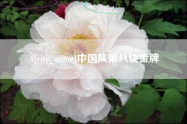 大同中国队第八块金牌