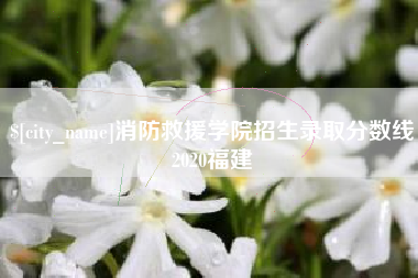 大同消防救援学院招生录取分数线2020福建