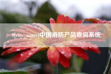 大同中国消防产品查询系统