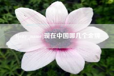 大同现在中国哪几个金牌