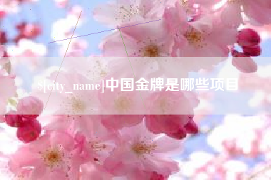 大同中国金牌是哪些项目