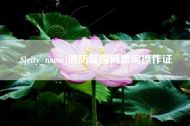 大同消防证国网查询操作证