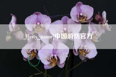 大同中国消防官方