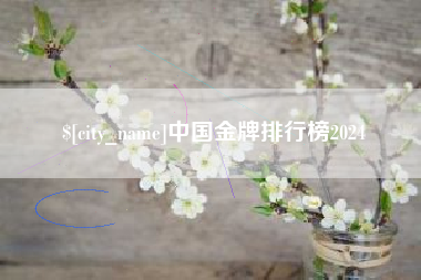 大同中国金牌排行榜2024