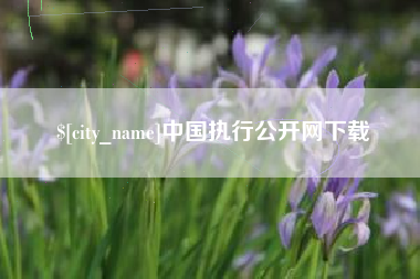 大同中国执行公开网下载