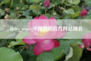 大同中国消防官方网站域名