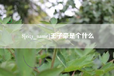 大同王子豪是个什么