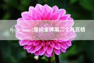 大同奥运金牌第二个九宫格