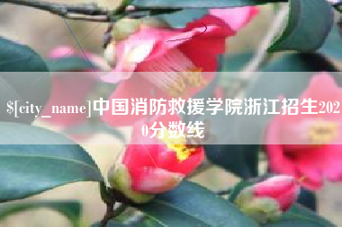 大同中国消防救援学院浙江招生2020分数线