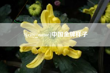 大同中国金牌样子