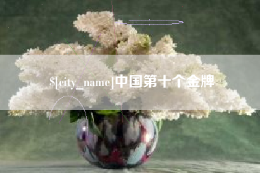 大同中国第十个金牌