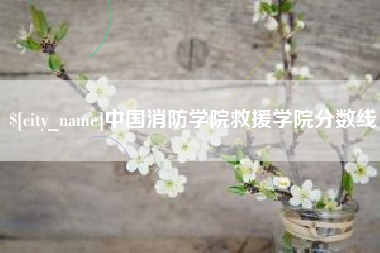 大同中国消防学院救援学院分数线