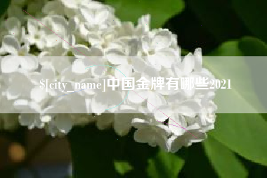 大同中国金牌有哪些2021