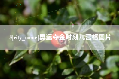 大同奥运夺金时刻九宫格图片