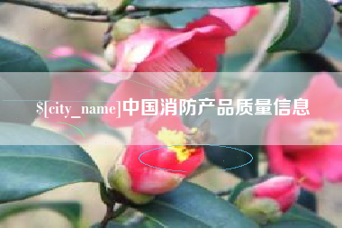 大同中国消防产品质量信息
