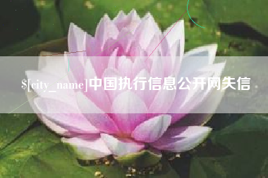 大同中国执行信息公开网失信
